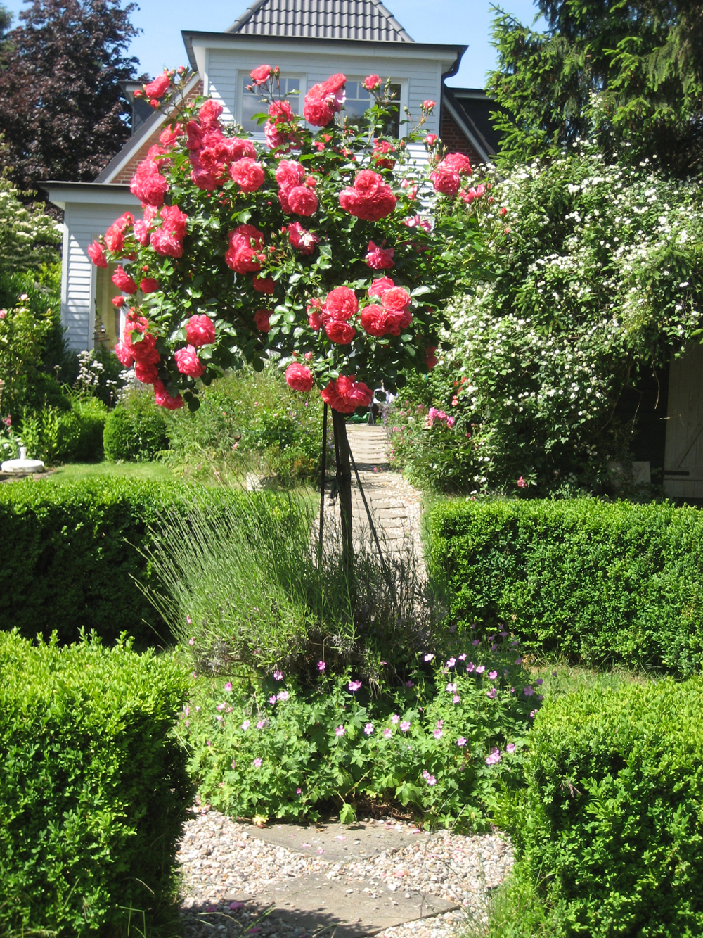 Garten Design Hamburg - Klassischer Garten